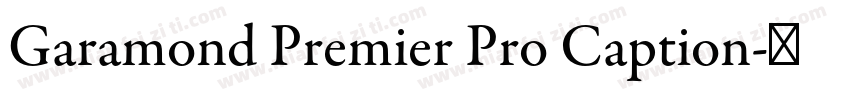 Garamond Premier Pro Caption字体转换